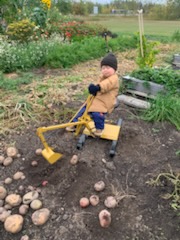 Bedrock Digger